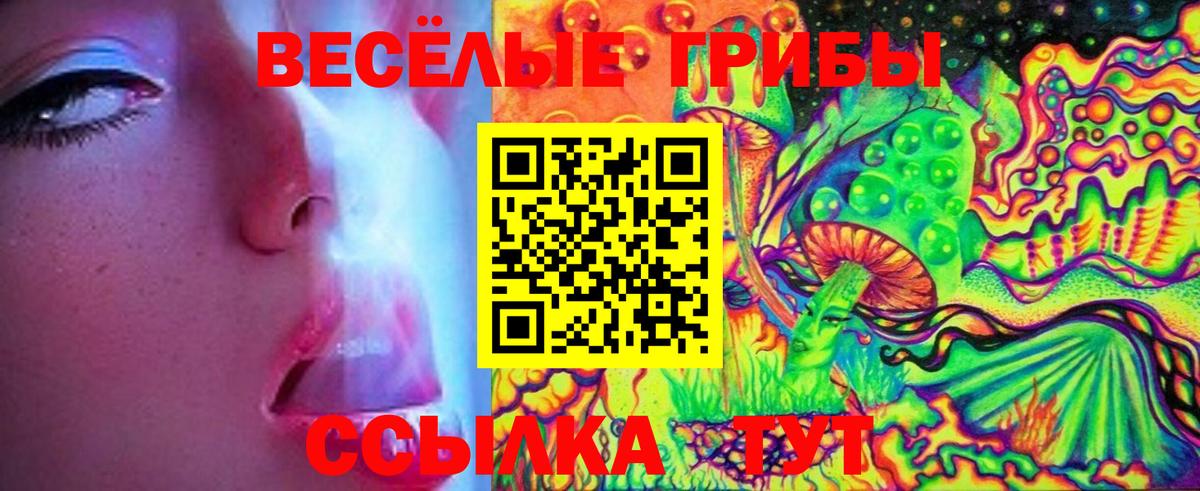 Галлюциногенные грибы мицелий  Вход с VPN  Малгобек 