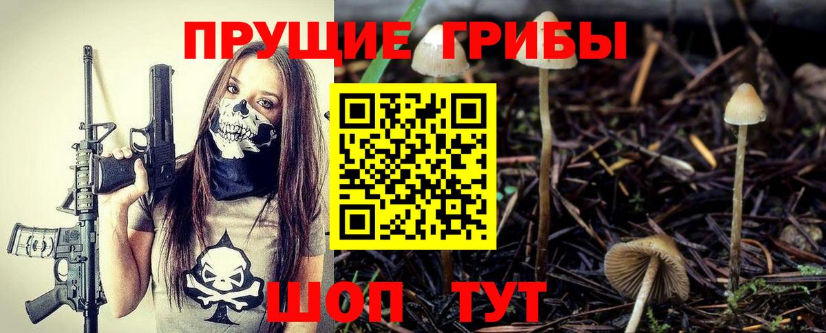Галлюциногенные грибы Cubensis Малгобек